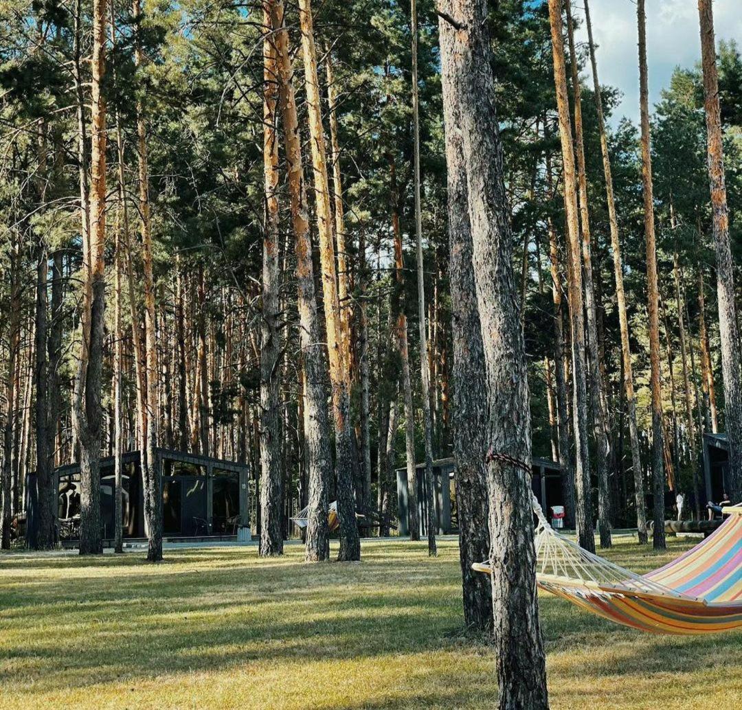 Sosnovel Hotel Voropayev Екстериор снимка