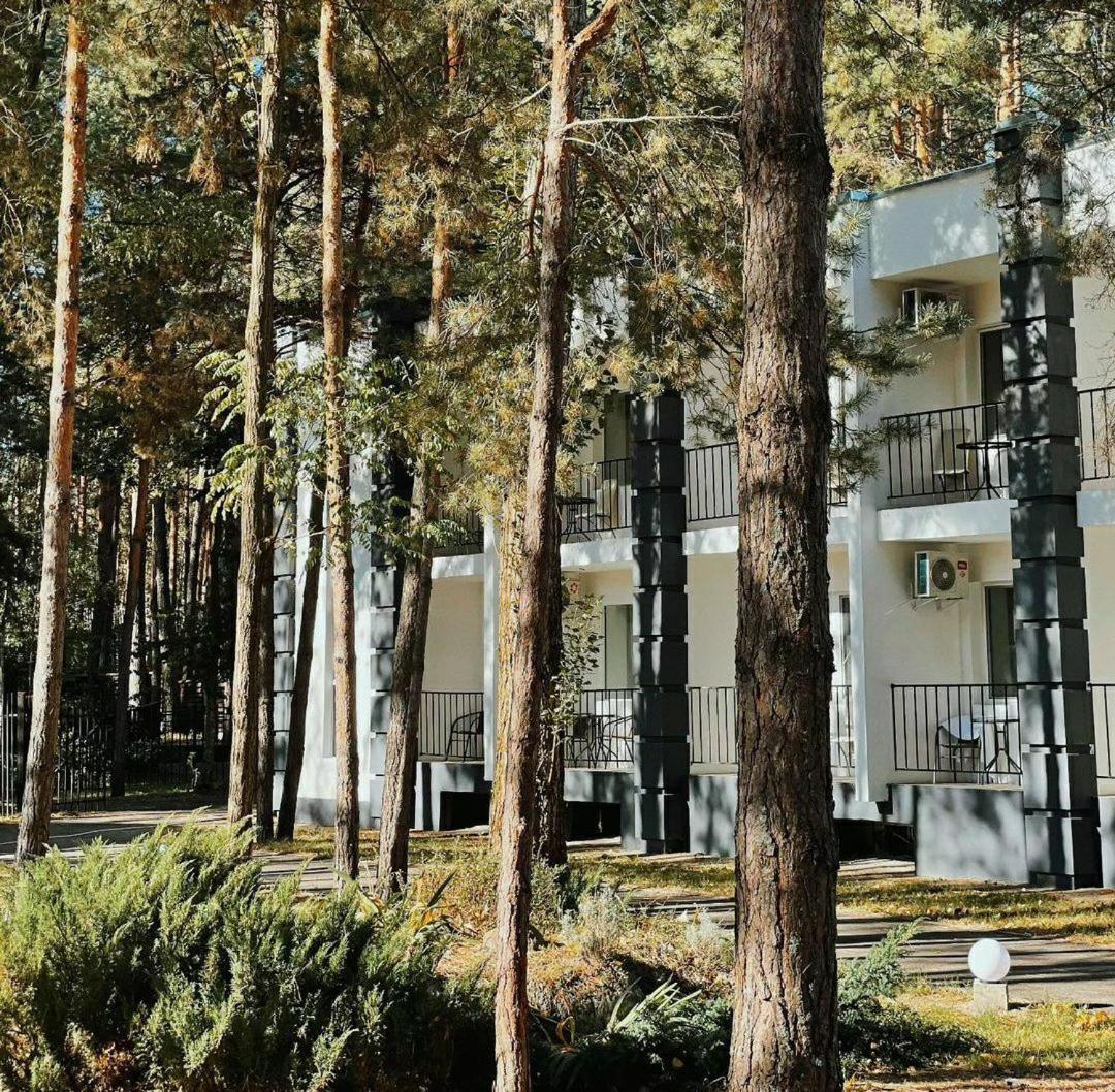 Sosnovel Hotel Voropayev Екстериор снимка